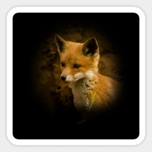 Red fox cub Sticker